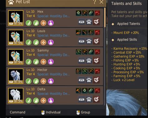 bdo pet list|bdo haetae pet.